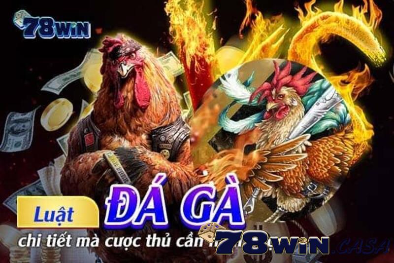 Luật đá gà miền Bắc