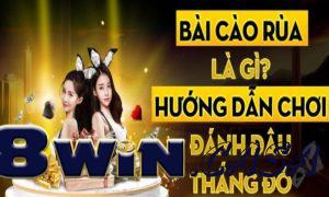 Những mẹo chơi bài cào rùa giúp người chơi giành chiến thắng