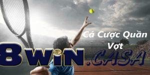 Ca-cuoc-quan-vot-1