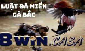 Thông tin chi tiết về luật đá gà miền Bắc